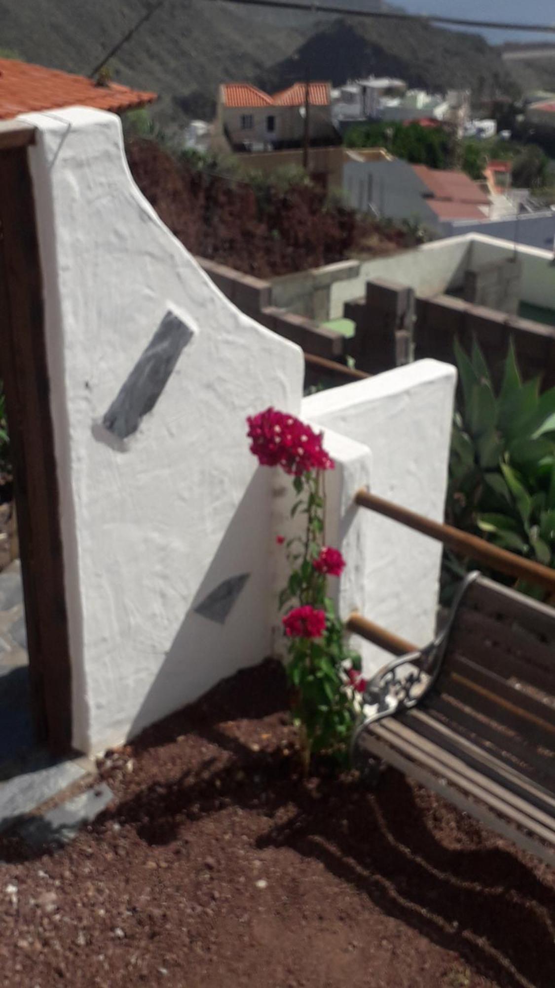 Nueva Casa Rural Piscina Privada Santa Cruz de Tenerife Eksteriør bilde